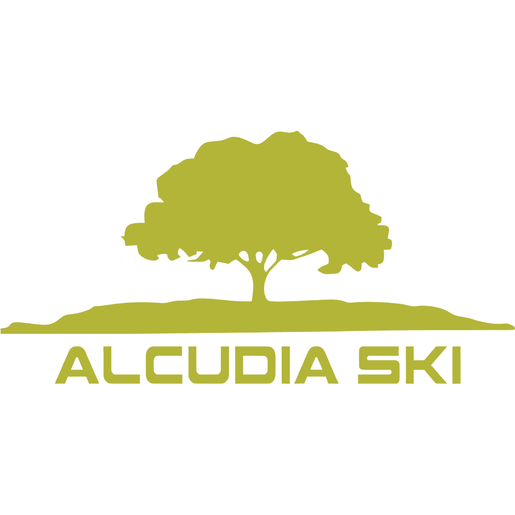 texto alt logo 2026